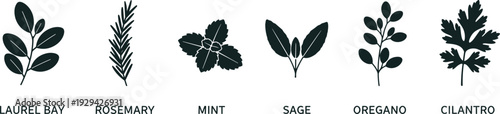 Black silhouette botanical illustration set featuring laurel bay, rosemary, mint, sage, oregano, and cilantro herbs, labeled for culinary, gardening, educational, and design reference artwork