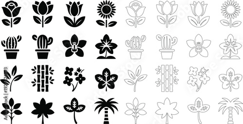 Collection of stylized botanical and floral in silhouette and outline
