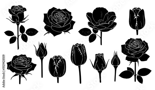 Black rose and tulip silhouette collection floral vector set isolated on white