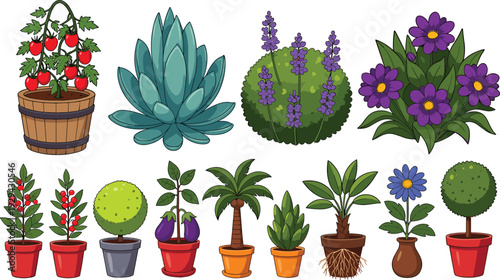 Collection of colorful illustrated plants and flowers including tomato, cactus, succulents, berry plants, eggplant, palm tree, topiary, daisy, and decorative botanical artwork for gardening design