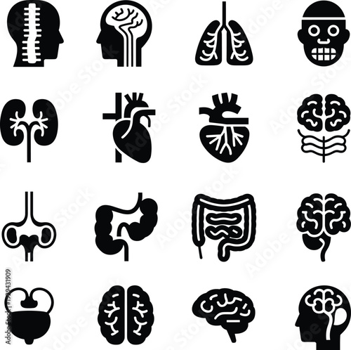 Human Internal Organs Silhouette Icon Set Featuring Brain, Heart, Lungs, Kidneys, Spine and Digestive System Medical Anatomy Collection Vector Isolated Healthcare Illustration