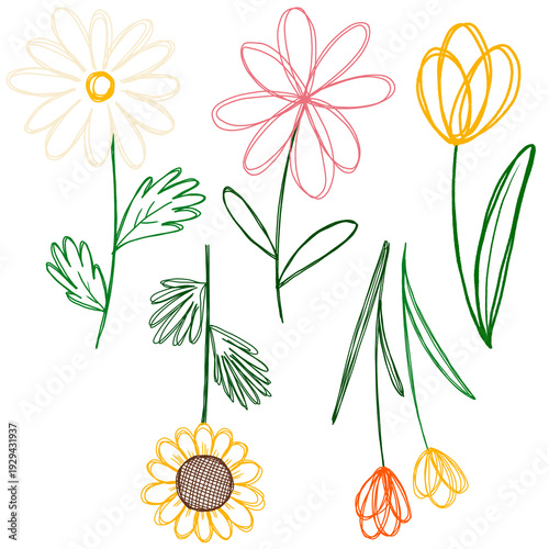 set of flowers line drawing
