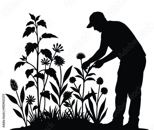 Man tending to vibrant flowers in lush garden with care and dedication