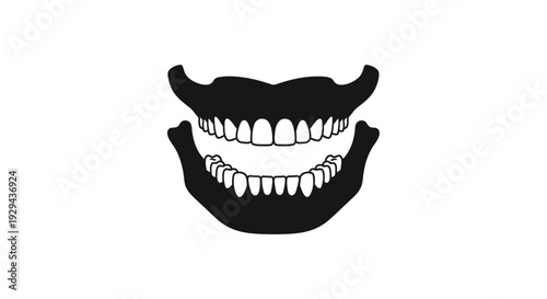 Black and White Illustration of Human Teeth.