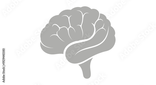 Human Brain Illustration Simple Gray Anatomy.