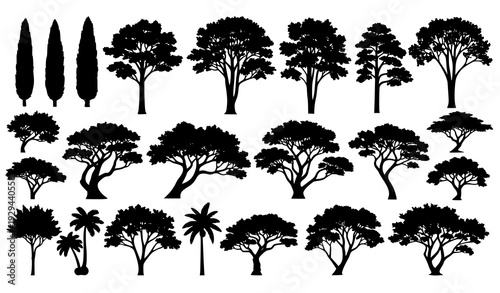 Architectural Tree Elevation Silhouette Set for Landscaping and Urban Planning Vector