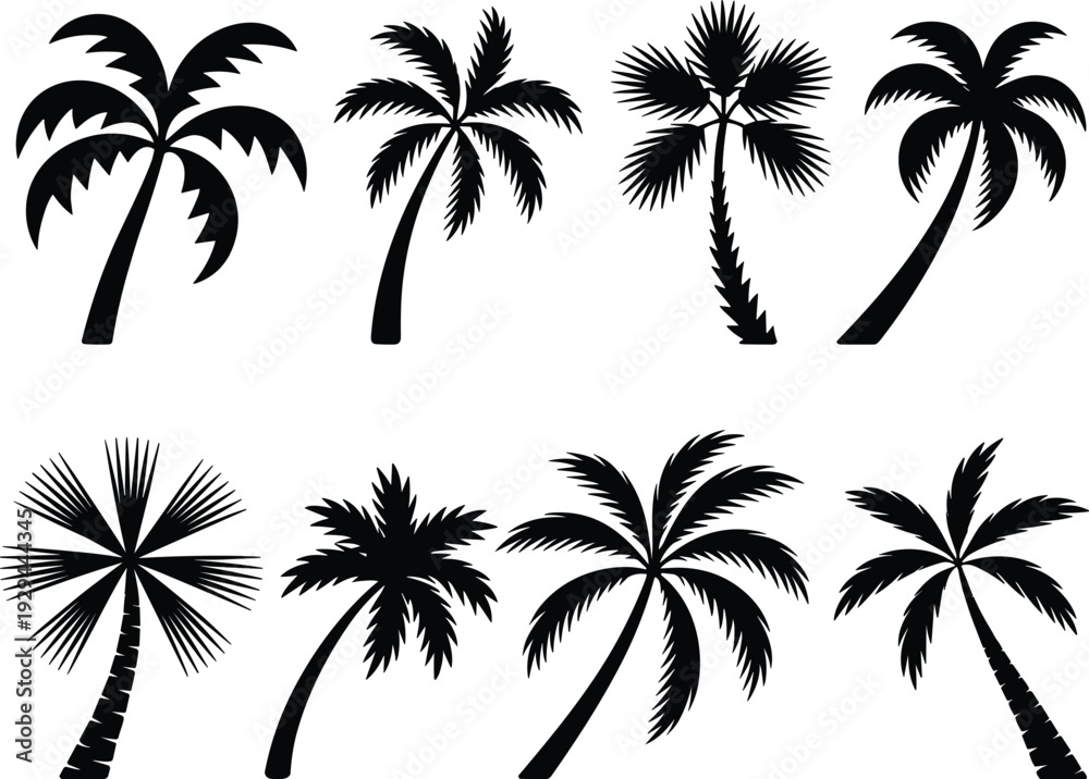 Fototapeta premium Tropical palm tree silhouette collection various coconut trees vector illustration beach summer island nature black design bundle