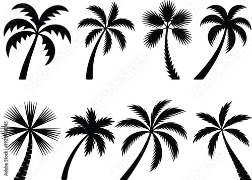 Tropical palm tree silhouette collection various coconut trees vector illustration beach summer island nature black design bundle