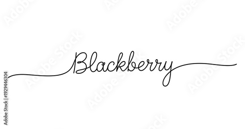 Elegant calligraphy script spelling "blackberry" in black on white background. No editable strokes