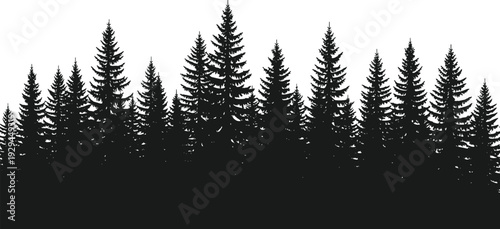 Black silhouette illustration of dense coniferous forest with pine and fir trees, perfect for nature themes, environmental projects, and artistic design backgrounds.