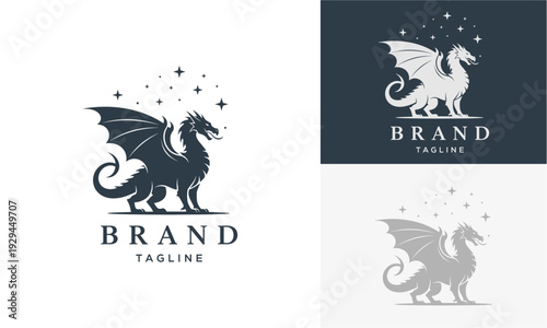 Mythical Dragon Illustration Featuring Fantasy Creature with Wings and Tail in Various Design Concepts