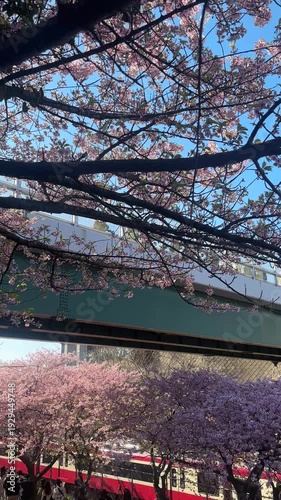 people on train japan