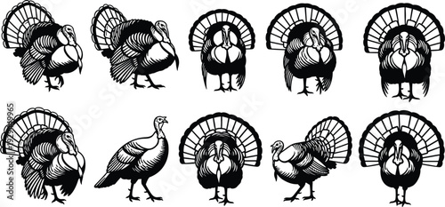 Black silhouette turkey illustration collection featuring diverse feather patterns, tail fan shapes, and body postures, perfect for seasonal, decorative, educational, and graphic design projects