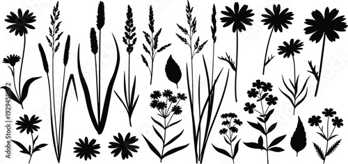 Black silhouettes of diverse wildflowers, grasses, and leaves arranged in a grid, perfect for botanical studies, nature themes, and creative design projects