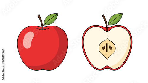 Simple red apple illustration featuring a whole fruit and a cross section half with seeds on a white background for food themes.
