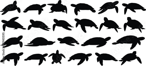 Collection of turtle silhouettes showing diverse poses, shell shapes, swimming angles, limb positions, and orientations, ideal for wildlife illustration, design projects, and anatomy studies
