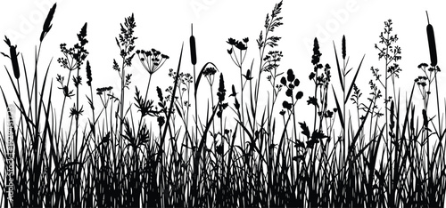 Detailed black silhouette illustration of diverse wild grasses, cattails, and meadow plants arranged naturally, perfect for botanical, ecological, nature, and decorative design projects