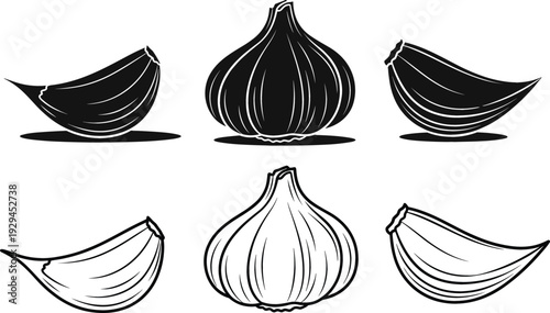 Detailed hand drawn vector set of garlic bulbs and cloves in black silhouette and line art style for cooking concept