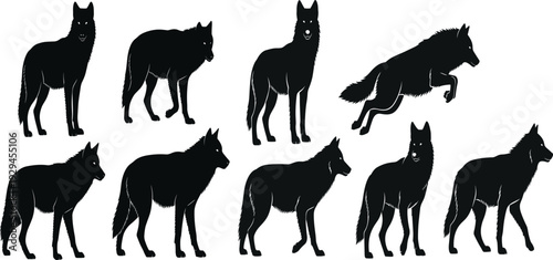 Wolf silhouettes collection in various poses including standing, walking, and leaping, wildlife vector art for nature, forest, hunting, and animal design themes