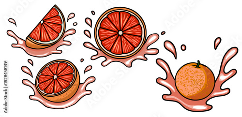 Set of juicy grapefruit slices and whole fruit with splashing juice, vector illustration