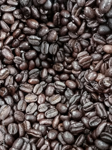 coffee beans brown seeds texture background wallpaper
