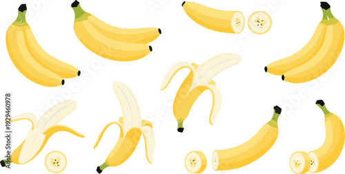 Banana Collection with Whole Peeled and Sliced Yellow Fruits Isolated on White Flat Vector Illustration Set
