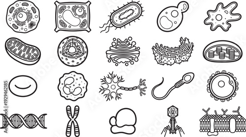 A detailed black and white illustration of various biological cells, microorganisms, and genetic structures, offering an educational and scientific perspective.
