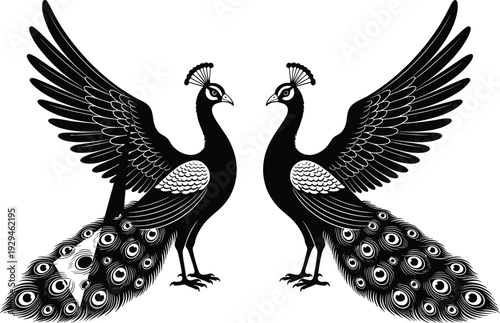 "Black and white vector illustration of two peacocks facing each other, symmetrical design, detailed feathers, elegant bird art, decorative nature symbol"
