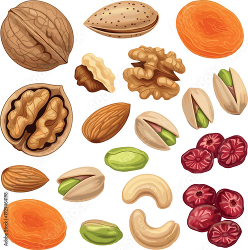 Assorted nuts and dried fruits vector set with walnuts almonds pistachios cashews and apricots isolated healthy snack