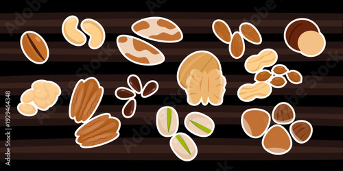 Various nuts on a black background: almonds, walnuts, hazelnuts, cashews, pistachios, macadamia nuts, peanuts, top view, vector
