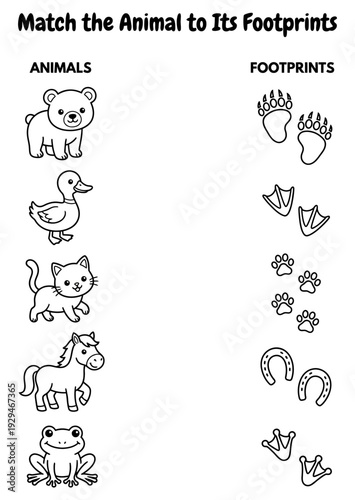 Animal Footprint Matching Worksheet – Bear, Duck, Cat, Horse, Frog Track Activity for Kids