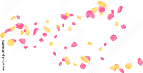 Soft focus pink and yellow rose petals floating along a curved line