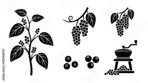 Coffee beans and coffee grinder.