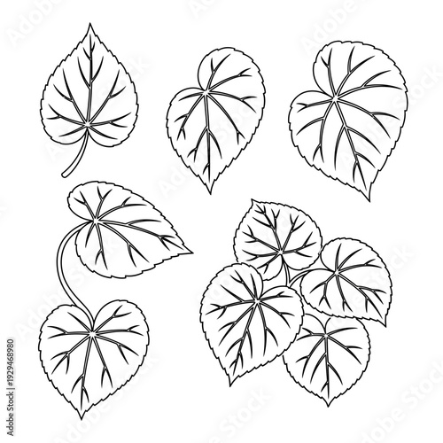 Collection of heart shaped leaves illustration.