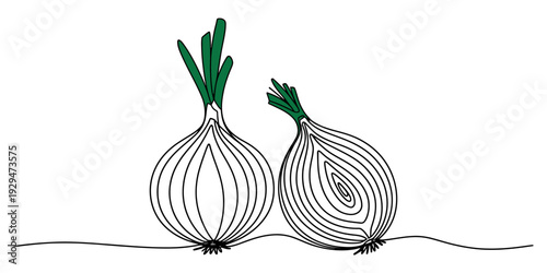 A simple line art illustration of a whole onion and a half-cut onion on a white background Vector, illustration