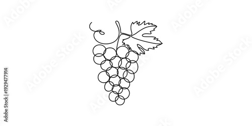 A simple black and white line drawing of a cluster of grapes with a single leaf and vine. Vector, illustration