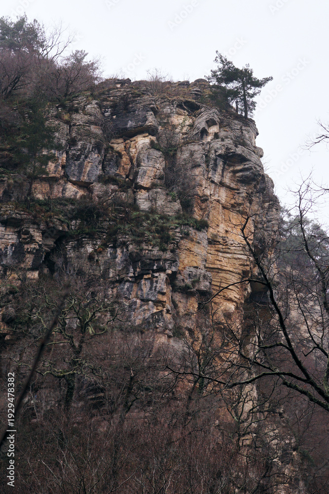 Fototapeta premium high black cliffs with trees. Eagle Cliffs in Sochi