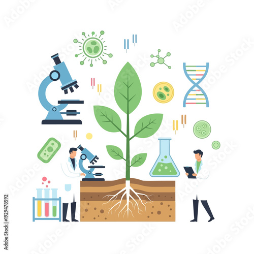 Plant Science Research: Scientists study plant growth, DNA, and microbes with microscopes and lab equipment.
