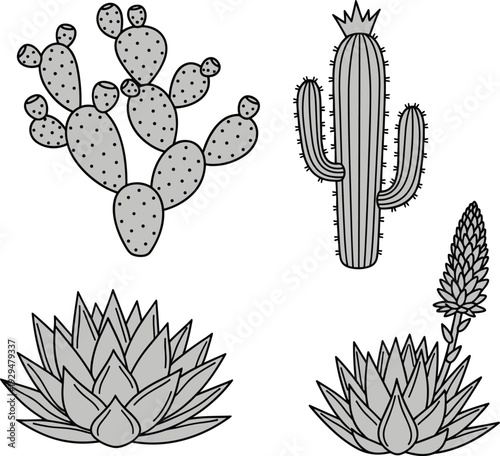 Black and white silhouette illustration of diverse cactus and succulent plants including prickly pear, columnar cactus, rosette succulents, and flowering stalk, desert botanical vector artwork