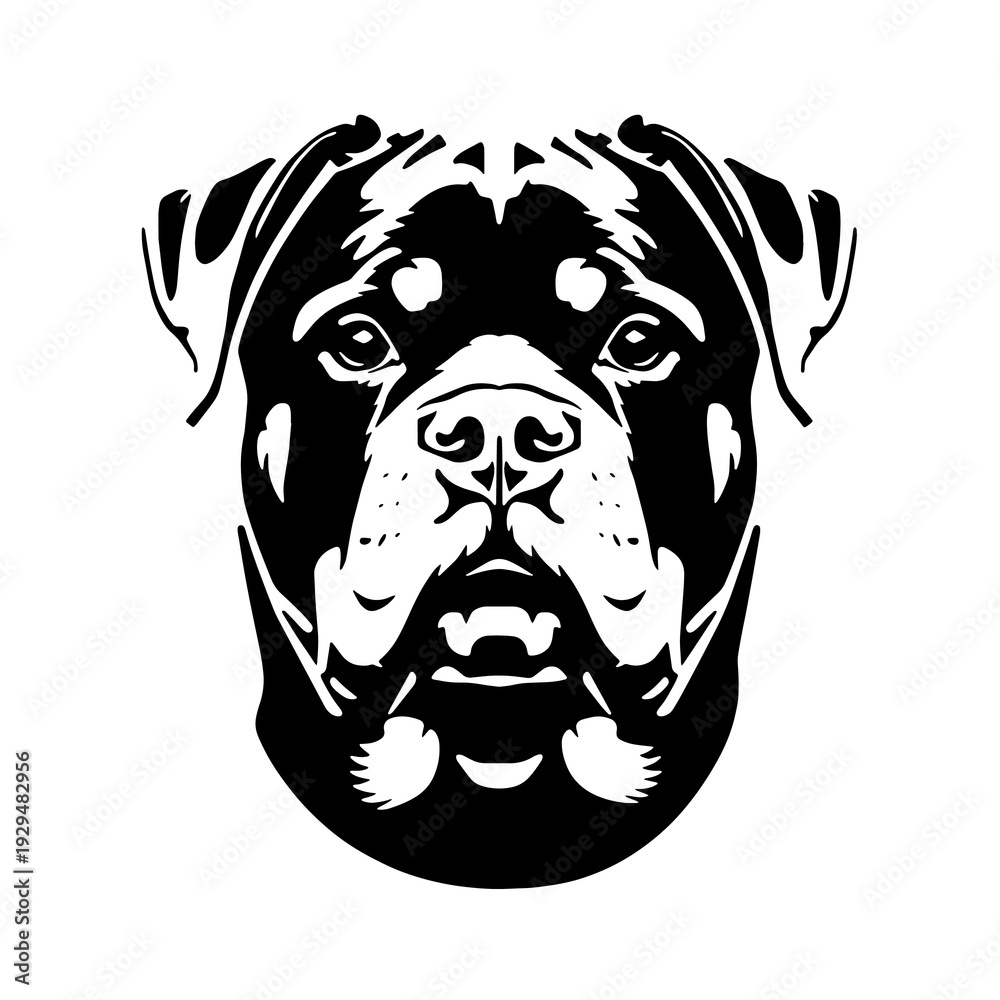Fototapeta premium head of a rottweiler portrait