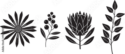 Black silhouette botanical illustration set featuring daisy flower, berry stem, protea bloom, and leafy branch with oval leaves, perfect for design, decoration, and educational use