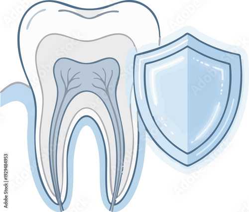Healthy Tooth Protected by Shield Icon Representing Dental Care and Oral Hygiene