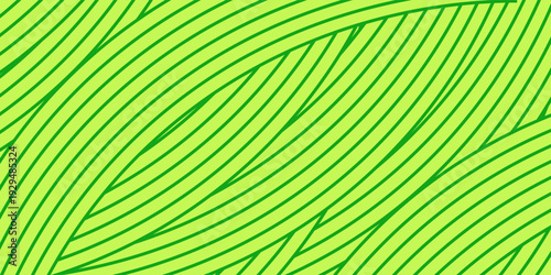 farm green banner, organic abstract background with fields. wavy green lines, natural organic products. ecology background. striped farmer green Pattern