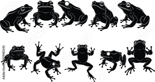 Frogs' Array: A striking monochrome array of lively frogs poised in a dynamic collection. Depicting the beauty of amphibians, highlighting details, and offering artistic charm.