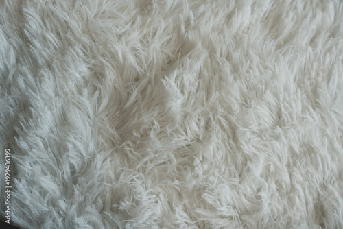 Wallpaper Mural Background of white colored carpet texture made from wool or synthetic fibers Torontodigital.ca