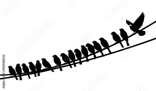 Black bird flock silhouette on diagonal telephone wires isolated on white background minimalist vector illustration