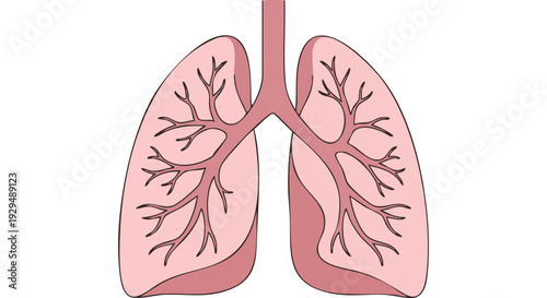 An artistic depiction of the human respiratory system, showcasing the lungs and bronchial tubes in a simplified, stylized illustration