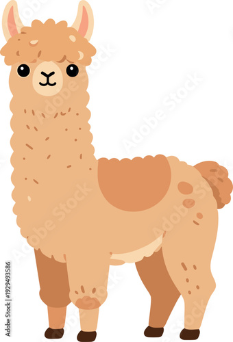 Adorable cartoon llama with fluffy fur standing on a white background