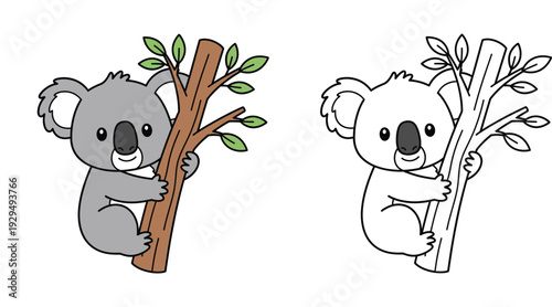 Cute cartoon koala climbing tree branch colored illustration and black and white coloring page vector