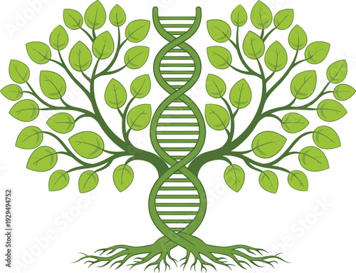 Green tree with DNA helix trunk representing genetic engineering biotechnology and environmental research for biology science nature growth and sustainable future biotechnology projects